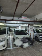 建興龍廣埸低層