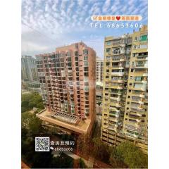 大豐廣場翠豐閣【有露台•單邊位】