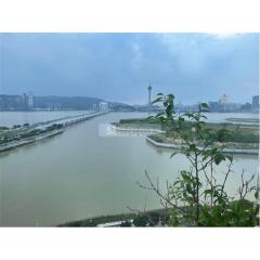 海洋花園荷花苑中層B