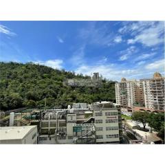 海茵怡居01座中層 D