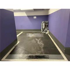 擎天半島第2座低層