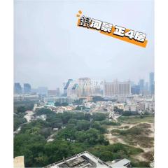 曼克頓南塔高層A