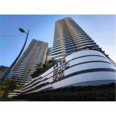 金峰名鑄+30萬有車位 全新2房2廁中層 F