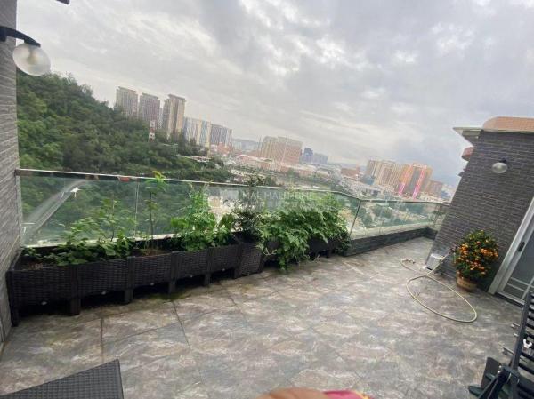 海茵怡居01座高層罕有特式單位💡永無遮擋🌈送300呎大平台