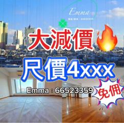 晉杰苑免佣🍀尺價4xxx🔥開揚山景9🌳巨廳巨房💗可完美4房D