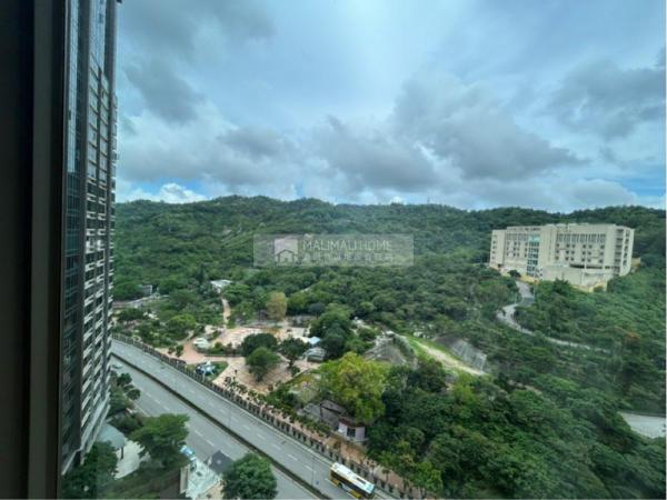 金峰南岸09-御領峰高層🔑🔑山景F