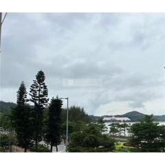 海蘭花苑大平台連車位