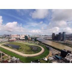 名門世家10座高層D