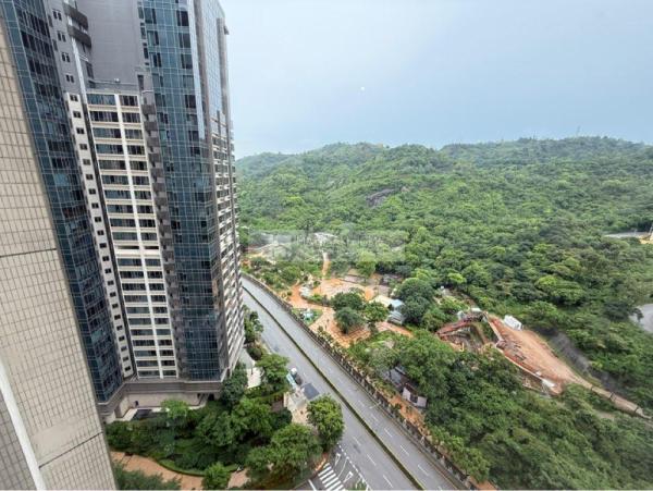 金峰南岸09-御領峰高層E