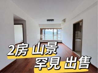 金峰南岸11-尚濤峰唯一高層‼️兩房💜望山E