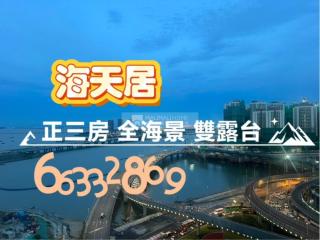 海天居03座高層A