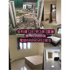 金利達花園03-輝苑高層T