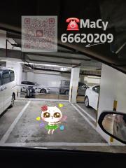 獲多利中心🚛7人車