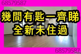 信譽名門2座高層🔑有匙9樓以上💗i全新未住過