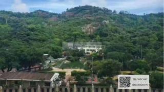 金峰南岸05-金巒峰中層.