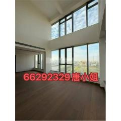 金峰名鑄盛名免佣全新一手小復式