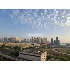 南新花園03座高層D