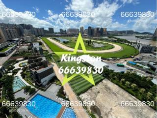 星玥3座星巒高層馬場景