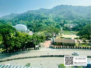 金峰南岸05-金巒峰中層.