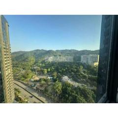 金峰南岸09高層東南山景