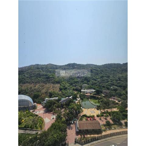 金峰南岸05-金巒峰