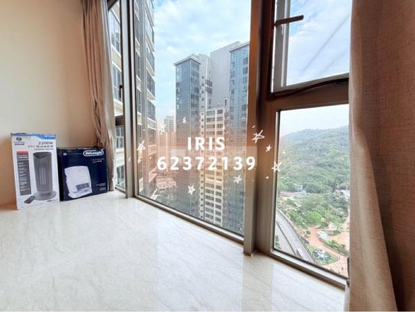 金峰南岸09-御領峰高層熊貓🐼景