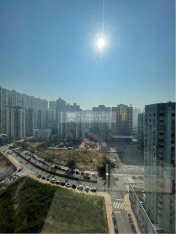 天晉 業主虧本大賣（可4房）高層D