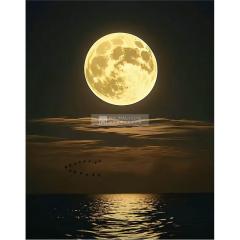 明珠都滙齊全盤 有意請聯絡高層  