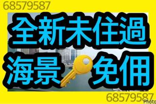 信譽天匯第一座高層🔑全新免佣❤️全湖境💙