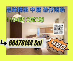 南新花園06座中層B💯全市最靚裝