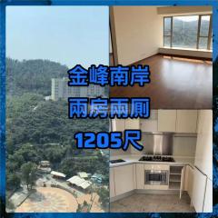 金峰南岸05高層E