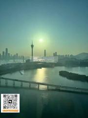 壹號湖畔02座高層A單位無敵湖景