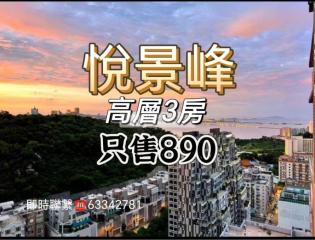 悅景峰01座高層D