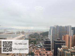 太子花城01-麗新閣高層C