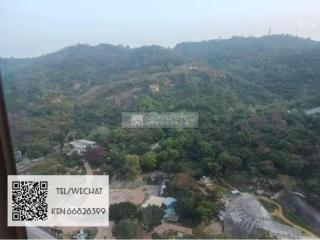 金峰南岸09-御領峰高層F