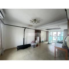 星海豪庭04-紫星閣高層V