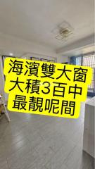 海濱花園10座高層#