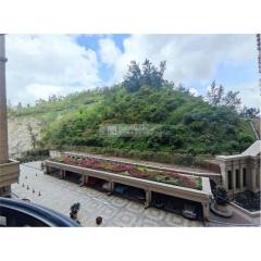 大潭山壹號05-御晉苑低層V