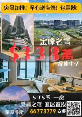 金峰名鑄御金峰低層送全屋精裝傢電